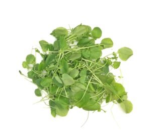 Unwashed Watercress - 100g