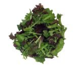 Baby Leaf Premium Mix Salad Pre Packed (Washed) - 4x250g