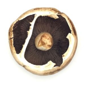 Portobello Mushroom Box - 1.5kg