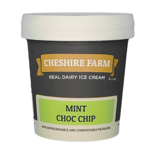 Mint Choc Chip Ice Cream - 125ml