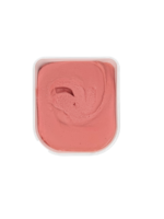 Raspberry Sorbet - 2.5LTR