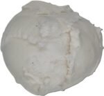 Vanilla Vegan Ice Cream