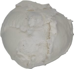 Vanilla Vegan Ice Cream