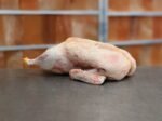 Paul Ainsworth at no 6 - Whole Free Range Duck